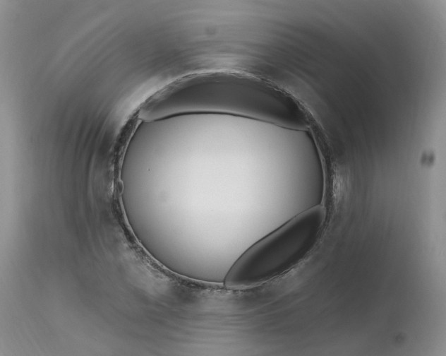X0000112541069200908311441