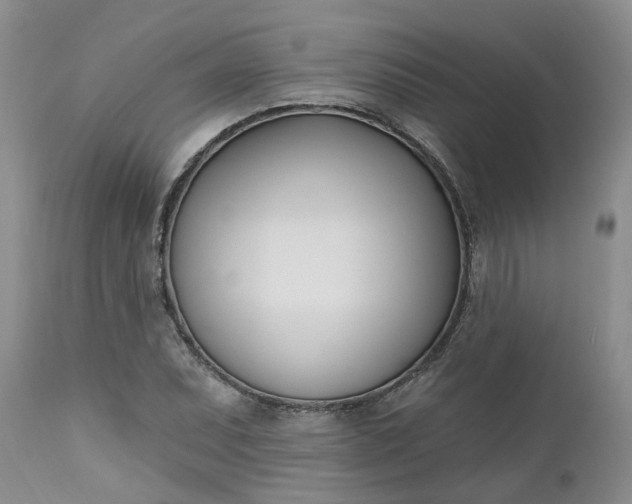 X0000112541071200908311441