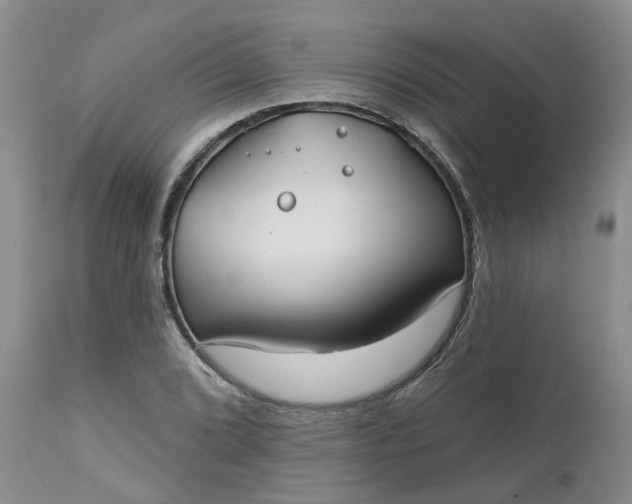 X0000112541072200908311441