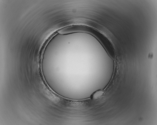 X0000112541076200908311441