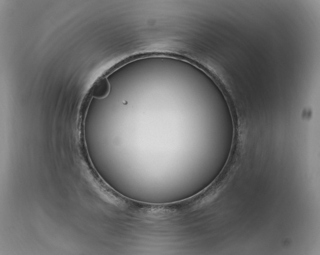 X0000112541077200908311441