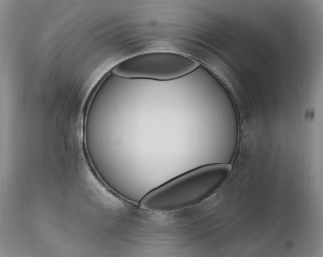 X0000112541084200908311441