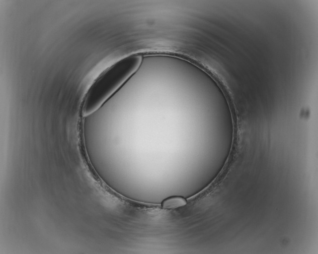 X0000112541085200908311441