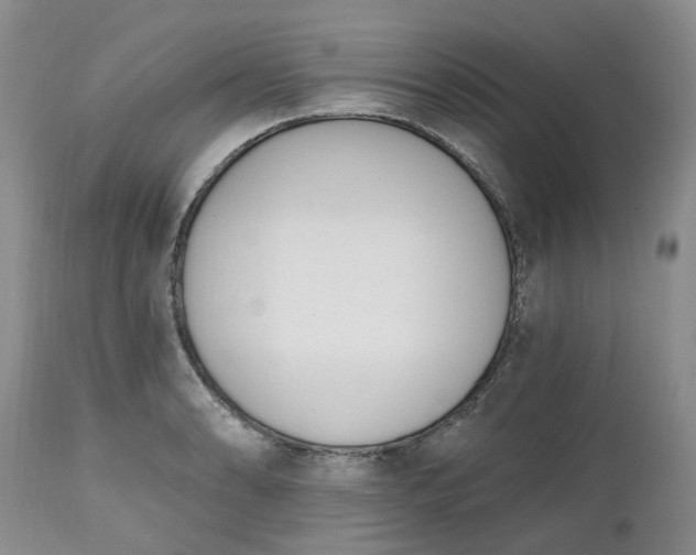 X0000112541086200908311441