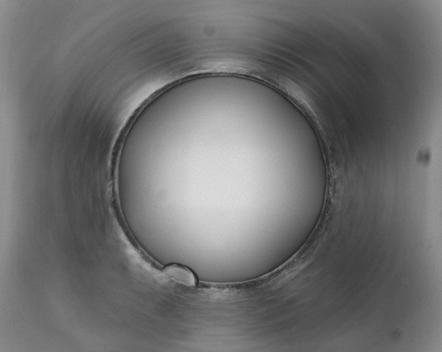 X0000112541087200908311441