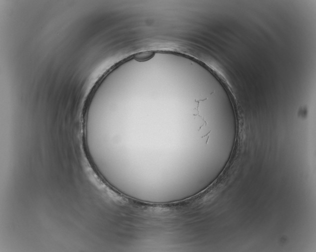 X0000112541088200908311441
