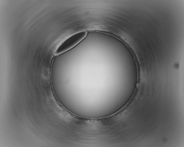 X0000112541089200908311441