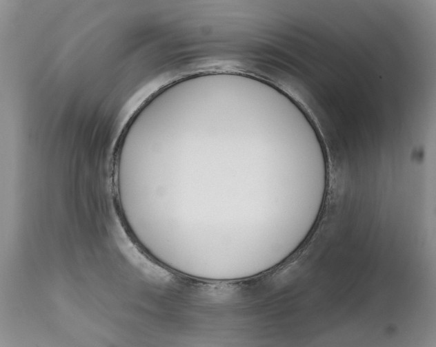 X0000112541090200908311441