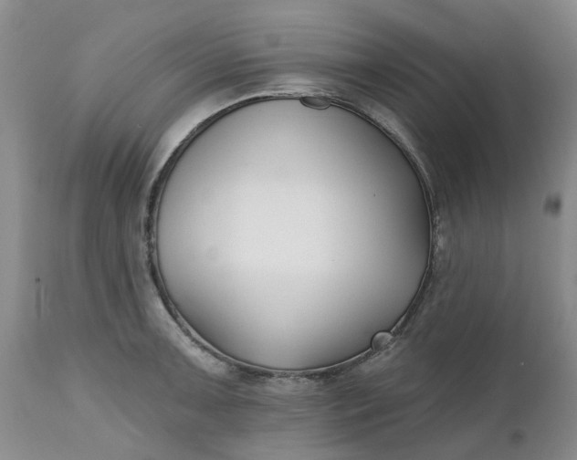 X0000112541091200908311441