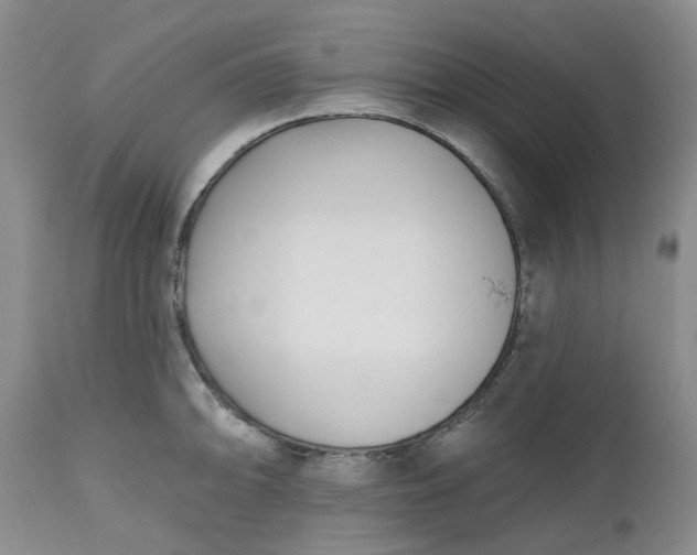 X0000112541094200908311441