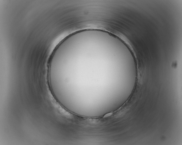 X0000112541096200908311441