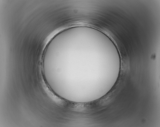 X0000112541098200908311441