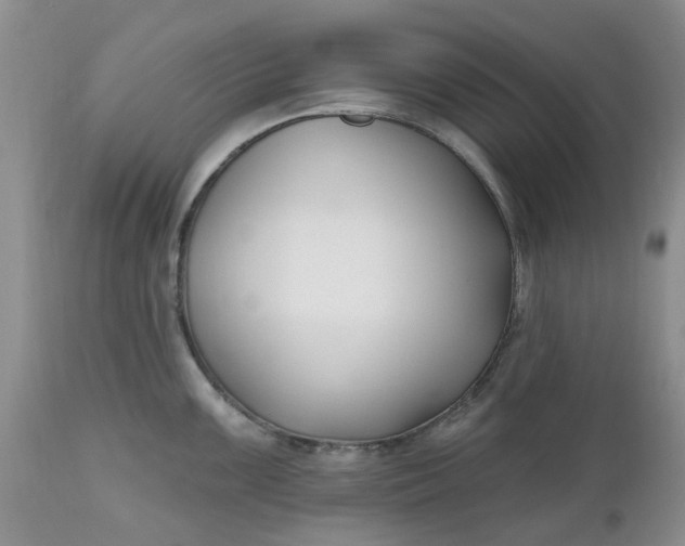 X0000112541099200908311441