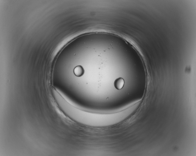 X0000112541101200908311441