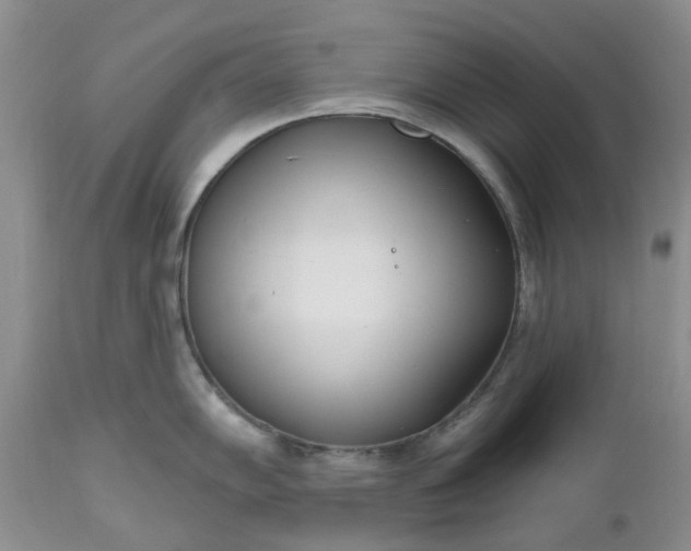 X0000112541102200908311440