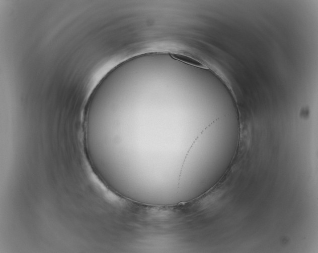 X0000112541103200908311440