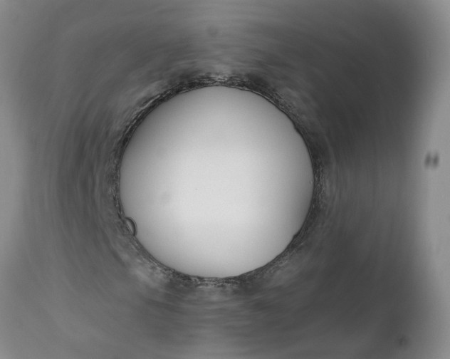 X0000112541105200908311440