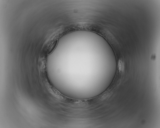 X0000112541107200908311440