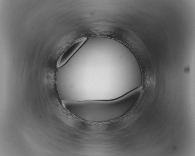 X0000112541108200908311440