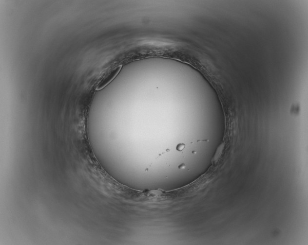 X0000112541109200908311440