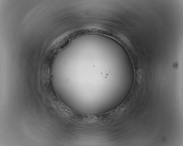 X0000112541111200908311440