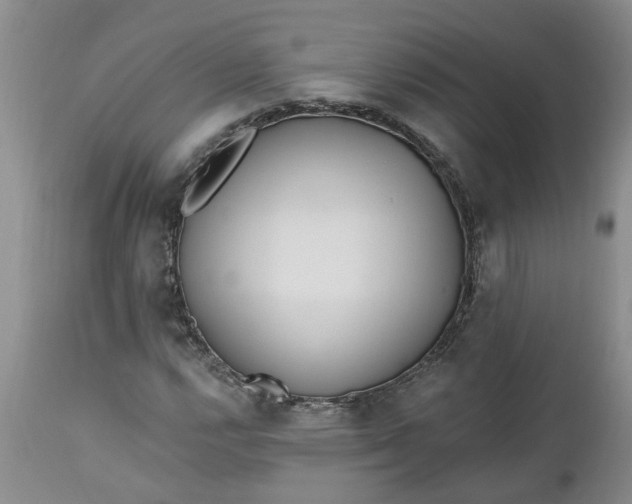 X0000112541112200908311440