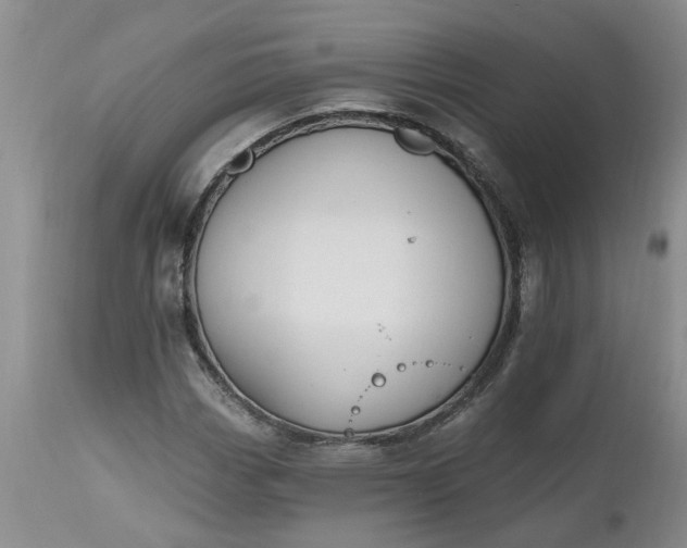 X0000112541113200908311440