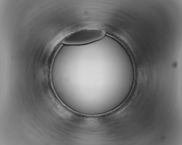 X0000112541114200908311440