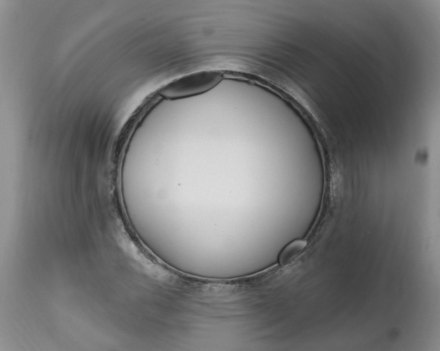 X0000112541116200908311440