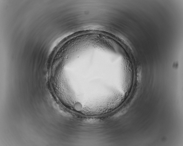 X0000112541117200908311440