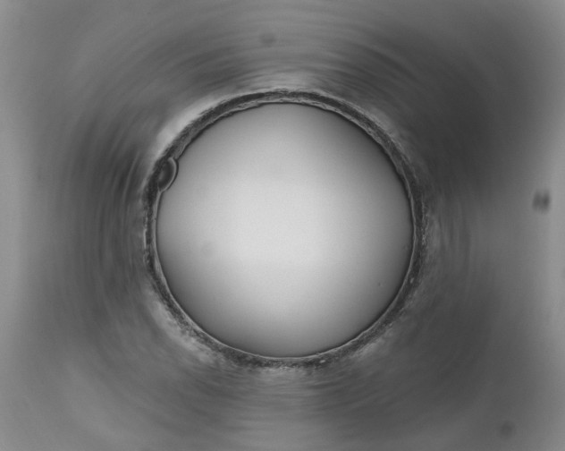 X0000112541118200908311440
