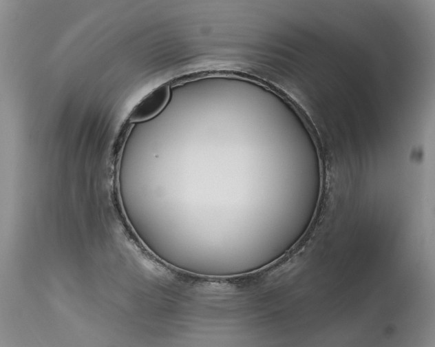 X0000112541119200908311440