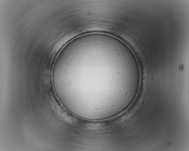 X0000112541121200908311440