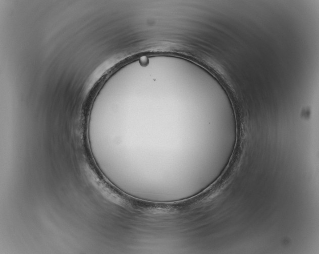 X0000112541122200908311440