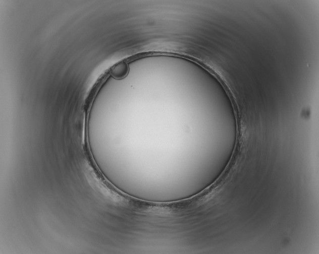 X0000112541123200908311440