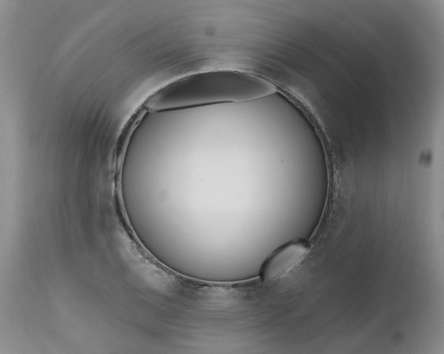 X0000112541124200908311440