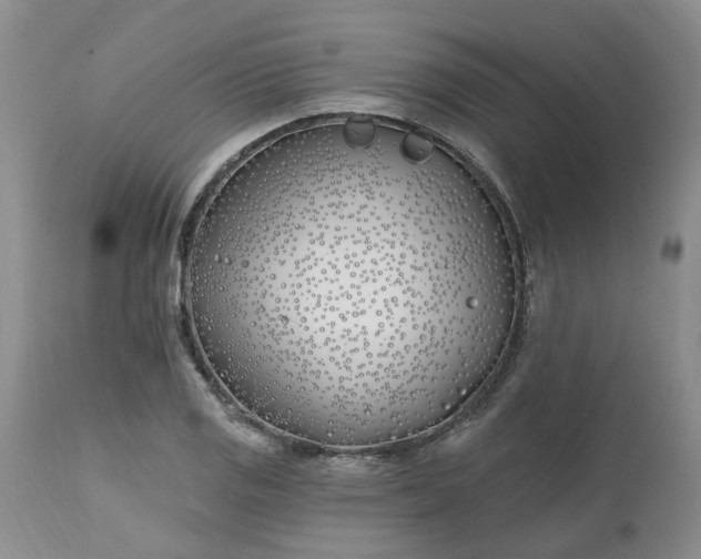 X0000112541125200908311440