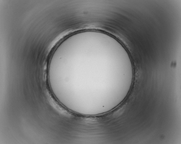 X0000112541126200908311440