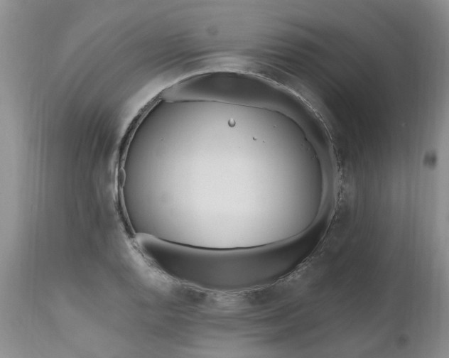 X0000112541128200908311440