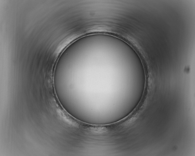X0000112541129200908311440