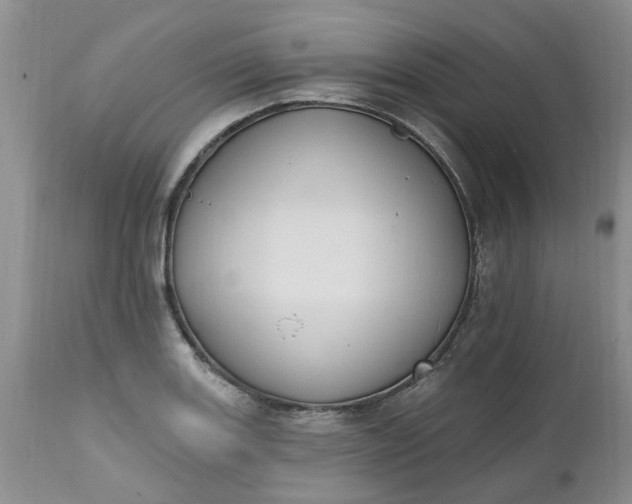 X0000112541131200908311440