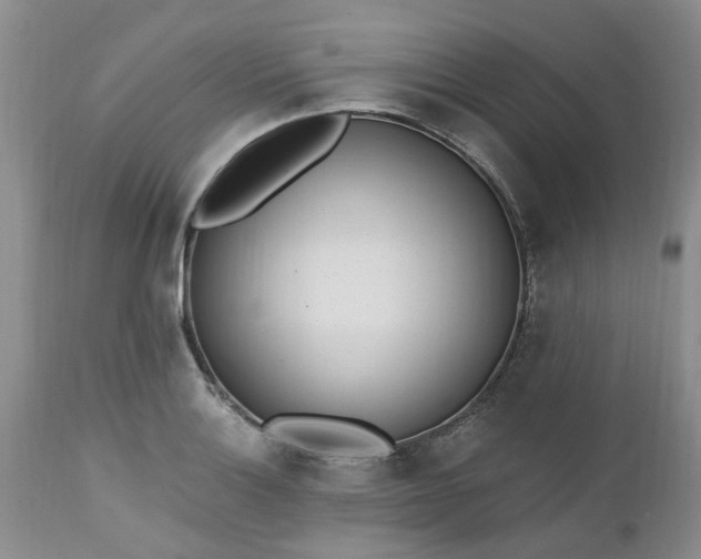X0000112541132200908311440