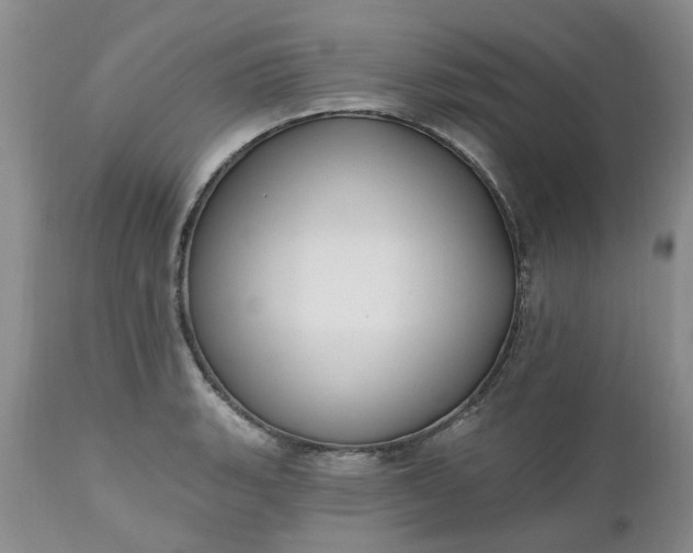 X0000112541135200908311440