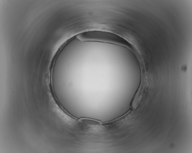 X0000112541136200908311440