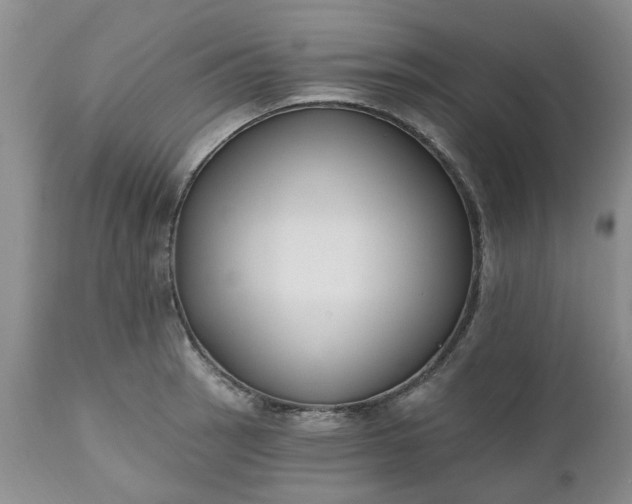 X0000112541137200908311440