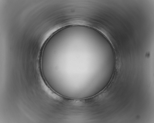 X0000112541139200908311440