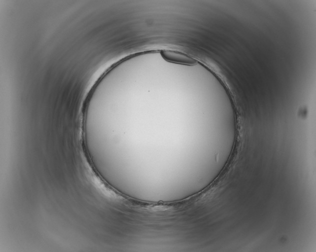 X0000112541140200908311440