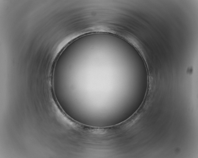 X0000112541141200908311440