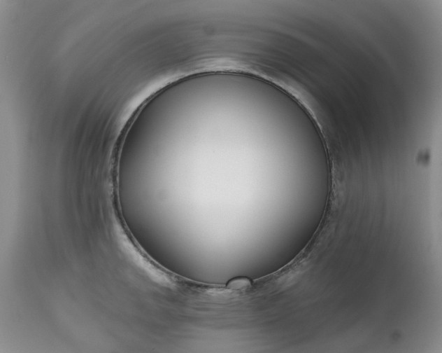 X0000112541142200908311440