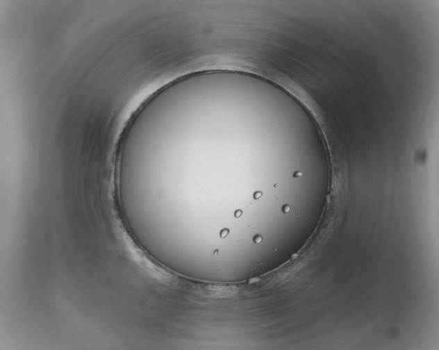 X0000112541144200908311440